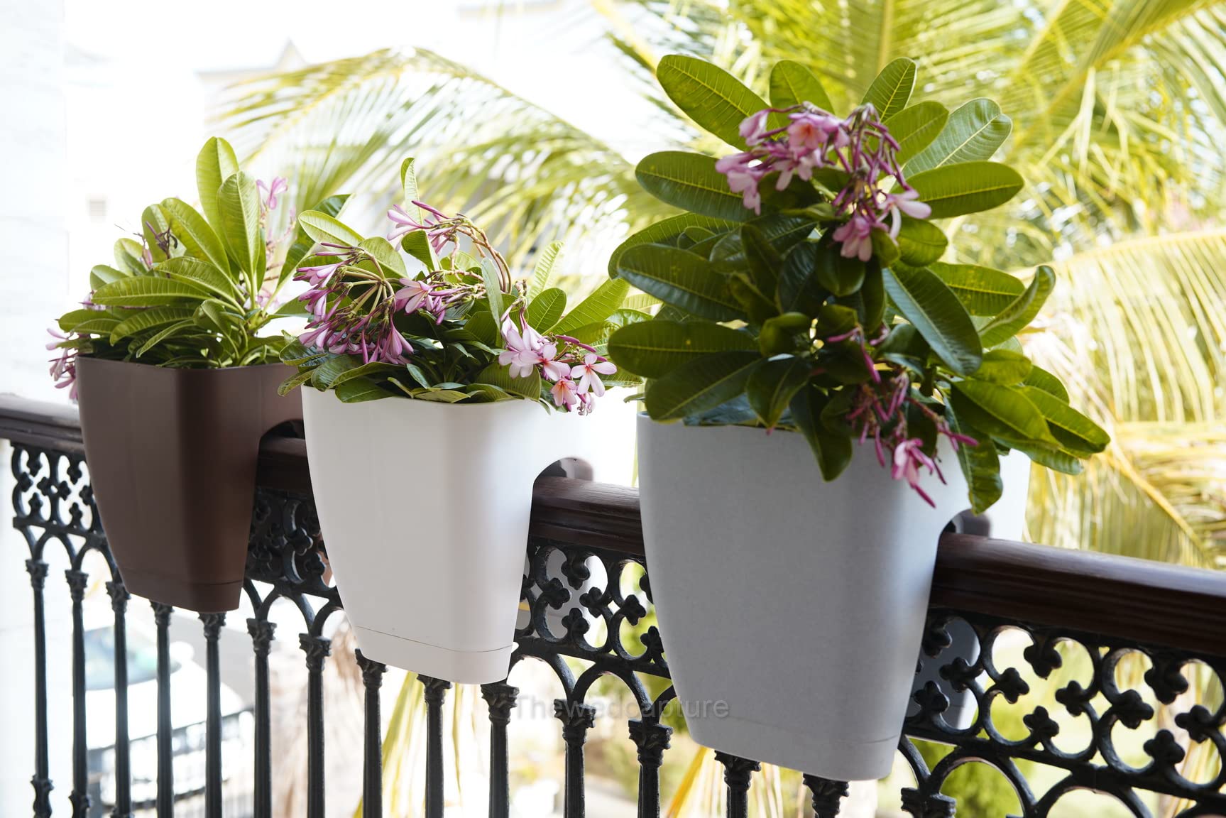 Buy Garbnoire Railing Hanging Flower Pots, Balcony Garden Pots Fence