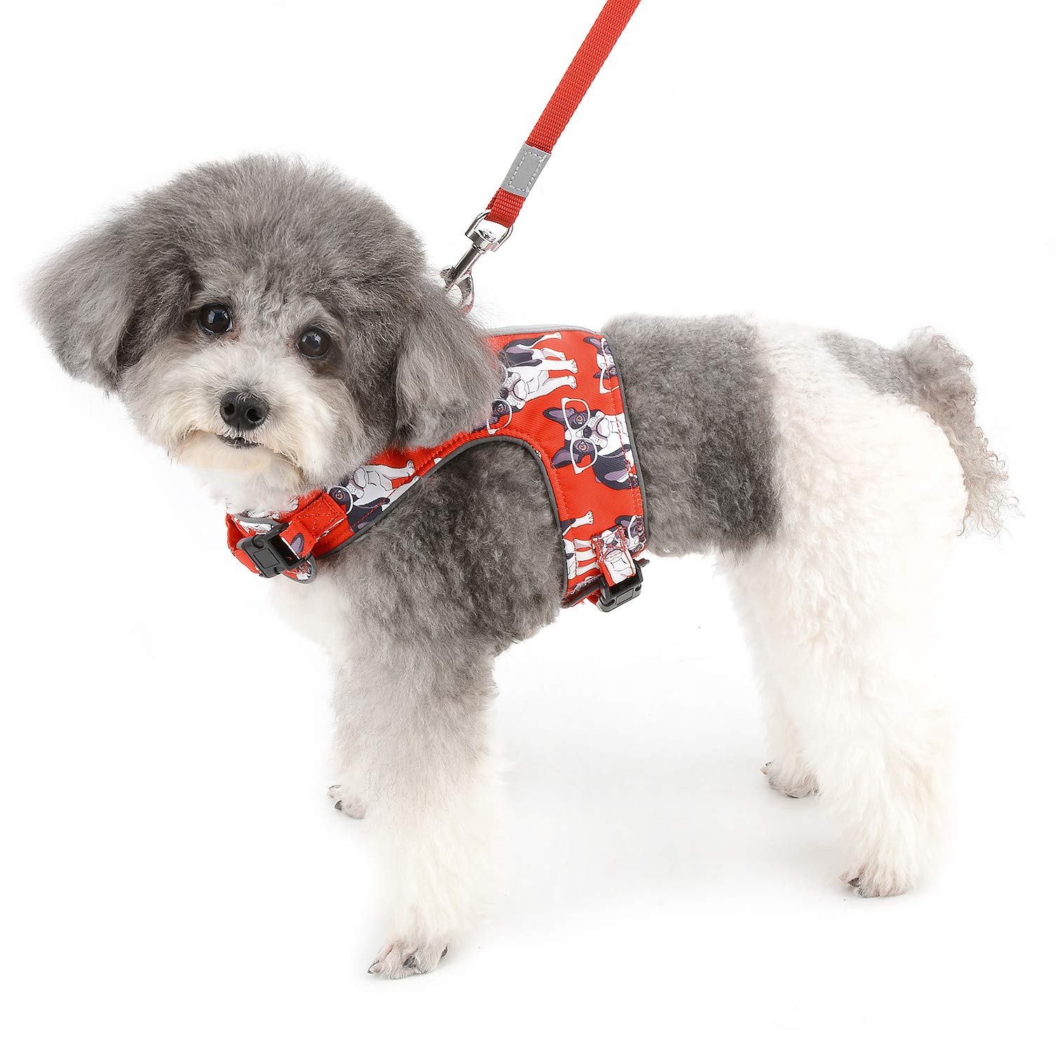 Amazon | RANPHY 犬 ハーネス 小型犬 猫用 ベスト ハーネス リード