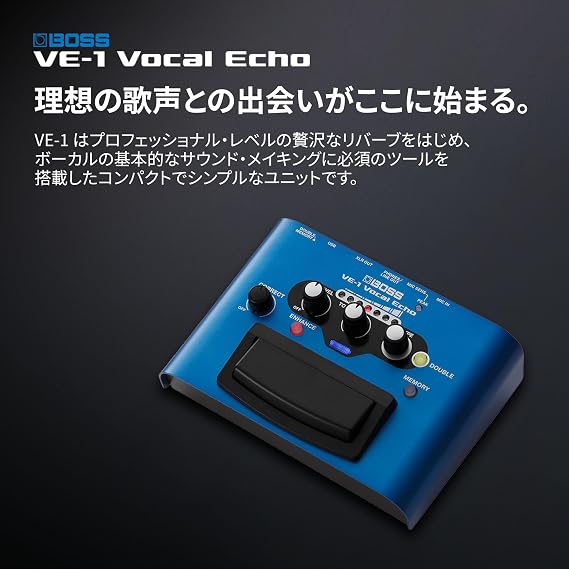 BOSS Vocal Echo VE-1 Battery/AC Powered 2 Power Modes Reverse/Pitch Correct/Live Vocalist Vocal Effector