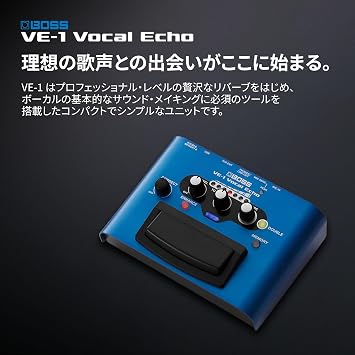 BOSS Vocal Echo VE-1 Battery/AC Powered 2 Power Modes Reverse/Pitch Correct/Live Vocalist Vocal Effector