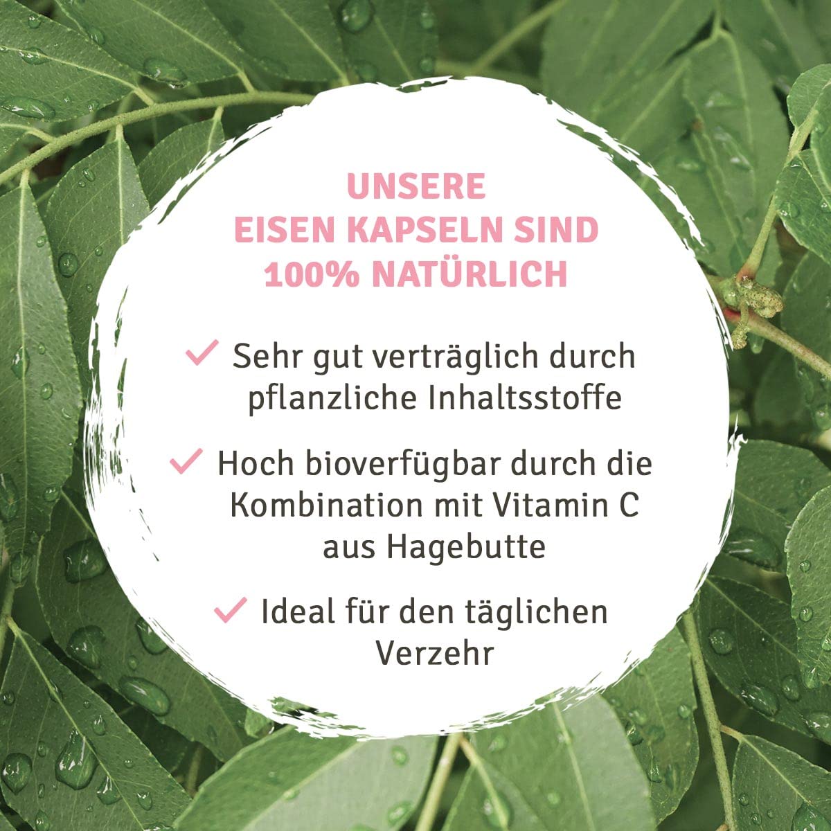 Natürliches Eisen + Vitamin C aus Curryblatt-Extrakt und Hagebutte-Extrakt. 14-28mg reines Eisen und 80-160mg Vitamin C pro Tagesdosis.120 Kapseln im 2-4 Monatsvorrat. Vegan + hergestellt in DE.