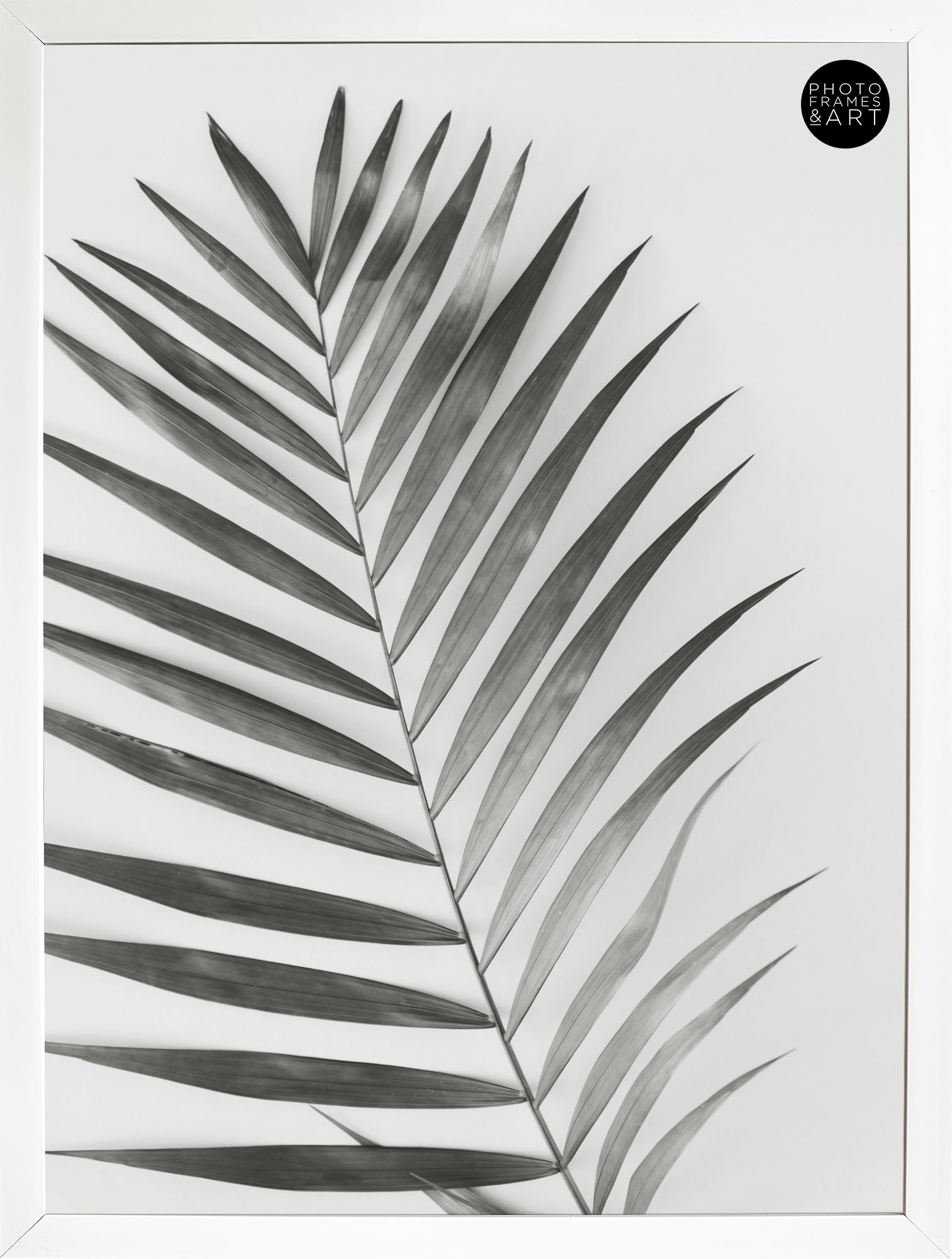 Pf+A White Wide Frame - Perspex Window - 50X70cm Poster Frame