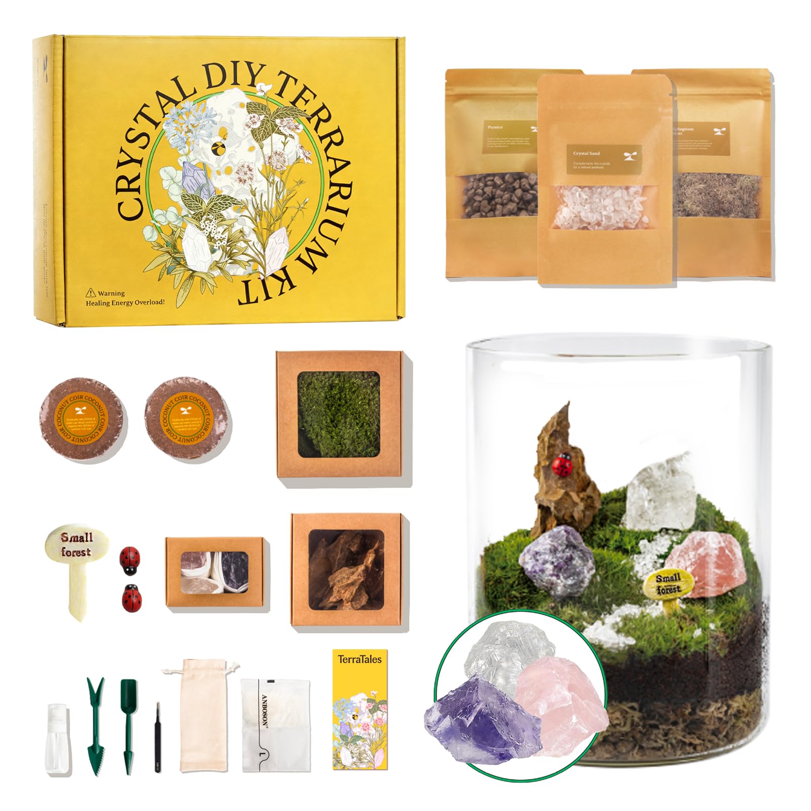 Terra Tales DIY Crystal Terrarium Kit