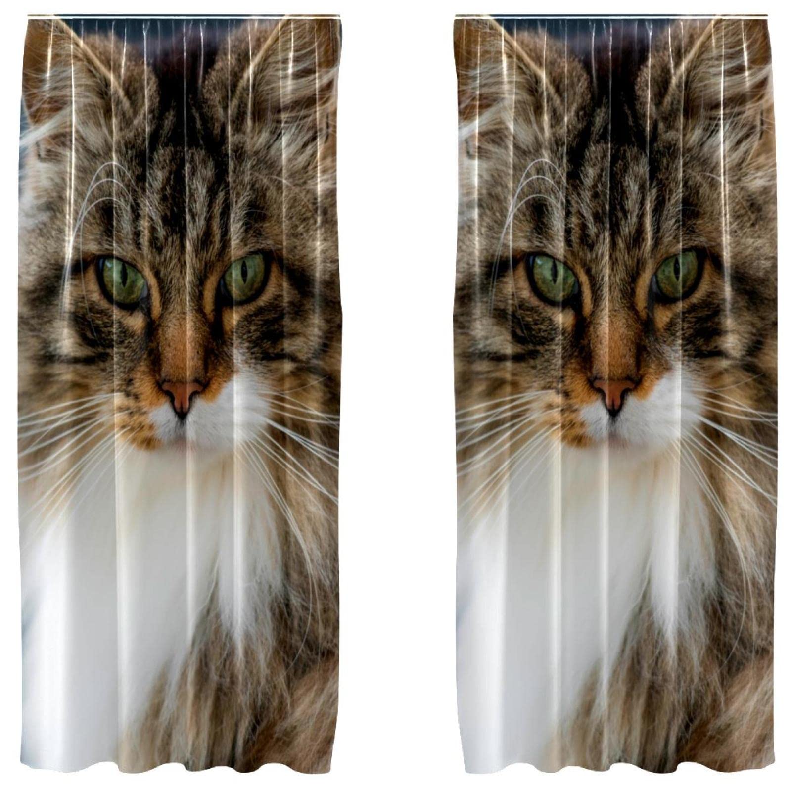 Cortinas opacas que aíslan la luz con diseño de Gato del Bosque de Noruega, 55x84 pulgadas