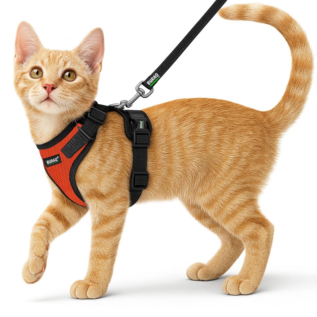 Pets Cat Harness with Leash for Outdoor, Walking, Escape Proof, Air Mesh Fabric, Easy Control, Adjustable & Durable Cat Leash with Harness for Small Medium & Large Cats (XS - Orange)