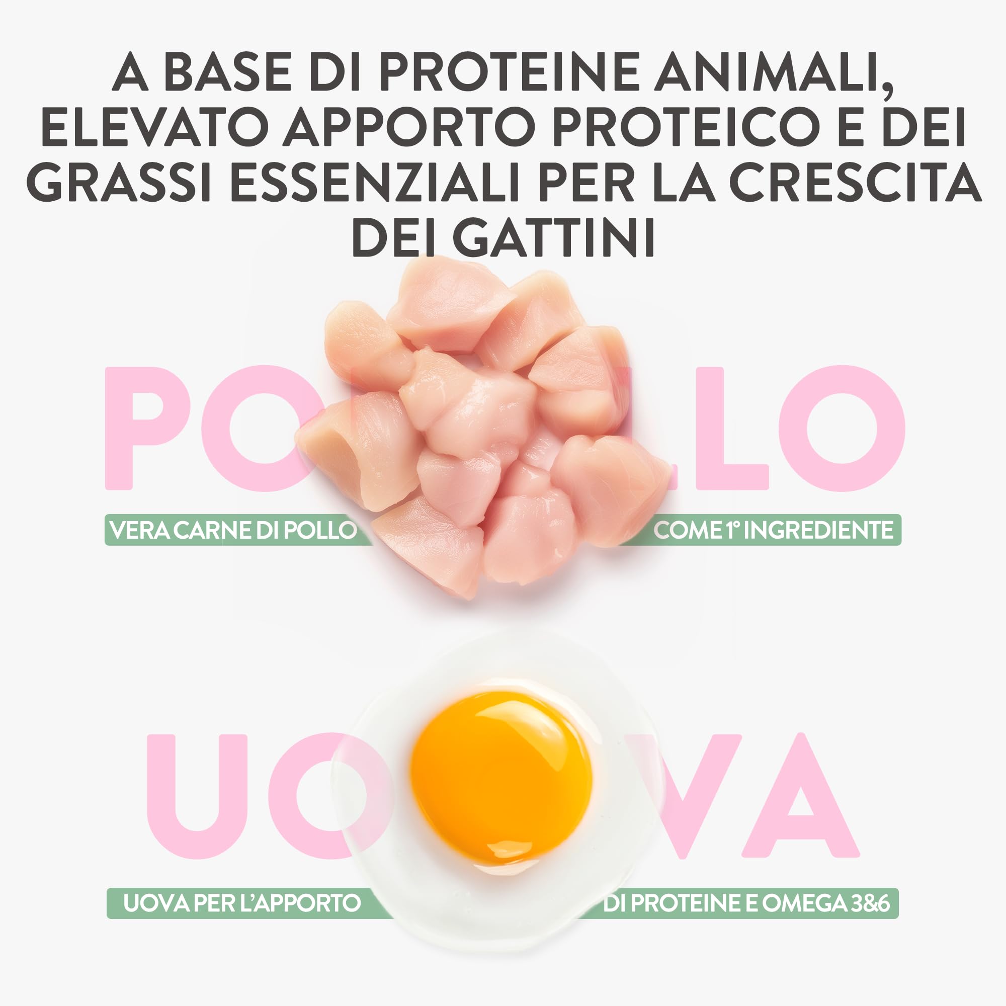 Schesir Born Carnivore Baby, saveur Poulet et œuf, croquettes pour Chatons, croquettes cuites au Four (Sachet de 1,25 kg)