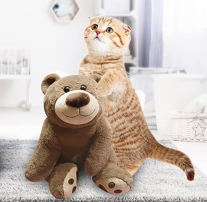 Oso de Peluche con Peso 3.5 LB miniatura 6