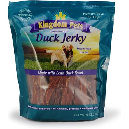 2 dog electric fence