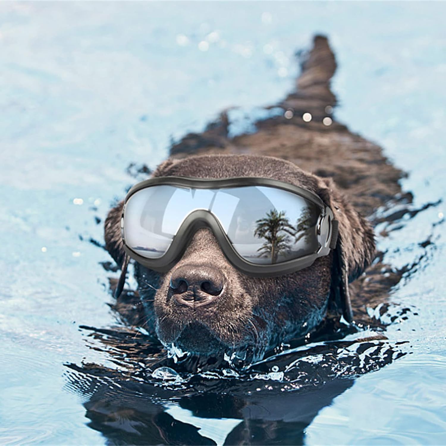 Uv Protection Dog Goggles Sunglasses Pet Glasses Windproof Sunglasses