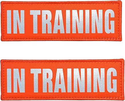 JUJUPUPS Orange Reflective Dog Patches 2 Pack Service Dog,in Training,DO NOT PET,Patches with Hook and Loop for Vests and Harnesses in Training, 4x1 inch