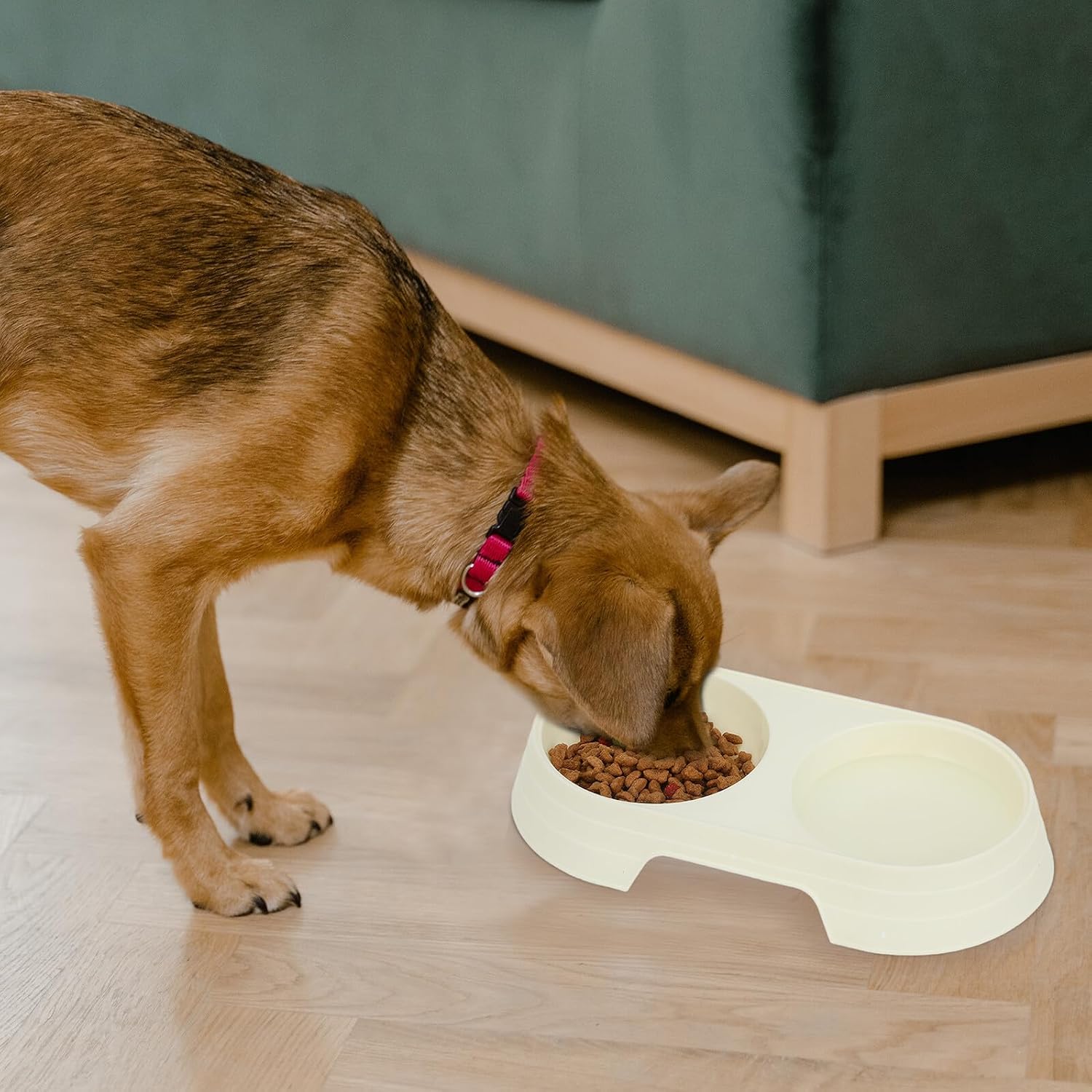 HEMOTON 8pcs Cat Feeding Bowl Set, Anti-Spill Plastic Pet Bowls with Non-Slip Base, Candy Color for Indoor Cats and Kittens
