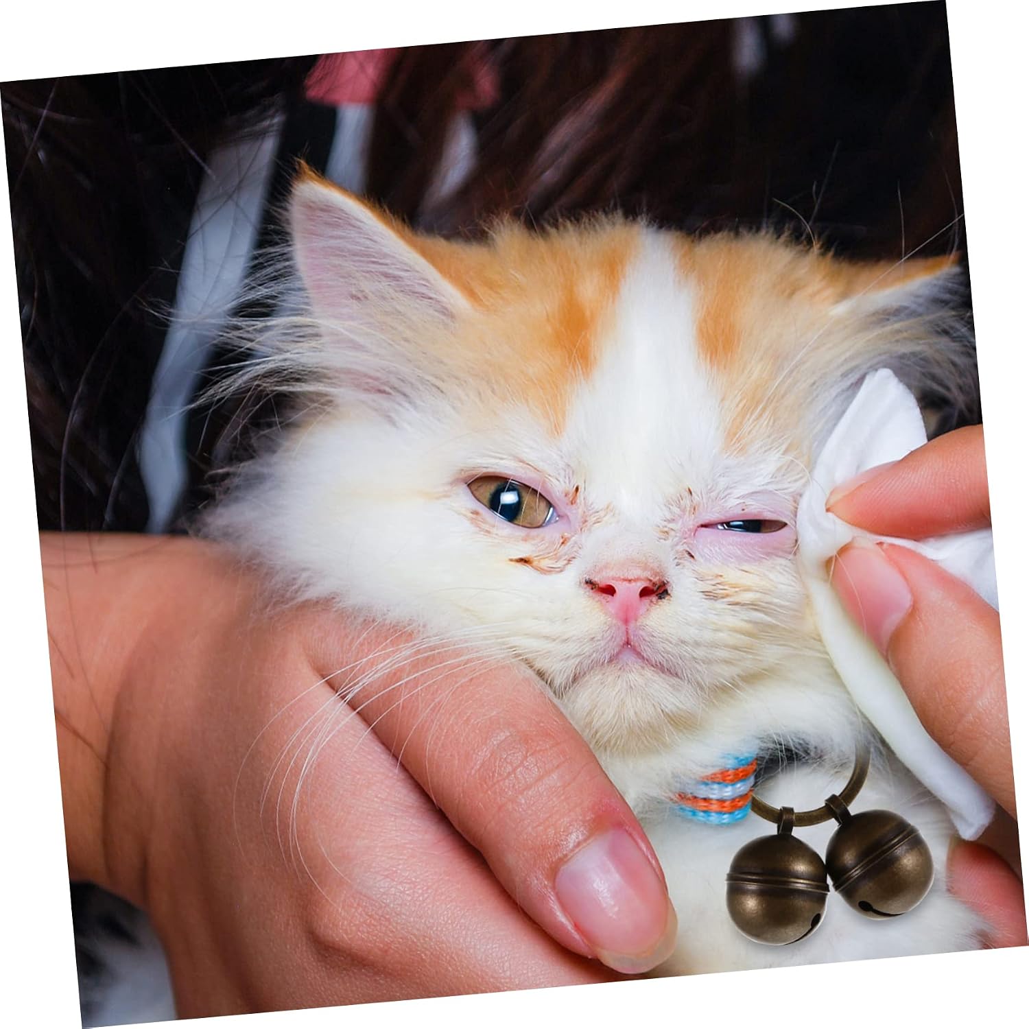 2sets Pet Training Bell Set Copper Collar Bells with Keychain Loop Durable Pet Accessories for Cat and Dog Training for Home Decor and Gift