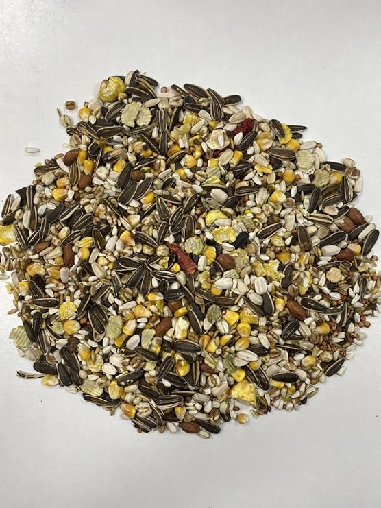 Maltbys' Stores 1904 Limited 12.5kg NO 1 MIXED PARROT FOOD Amazon.co