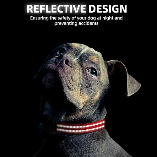 Miniatura 4 de Airtag - Collar de perro 100% impermeable, integrado Apple AirTag, collar reflectante con GPS con funda de policarbonato duro para perros pequeños,