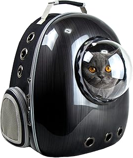 Amazon Co Jp 猫 キャリー Amazon Co Jp 猫 キャリー