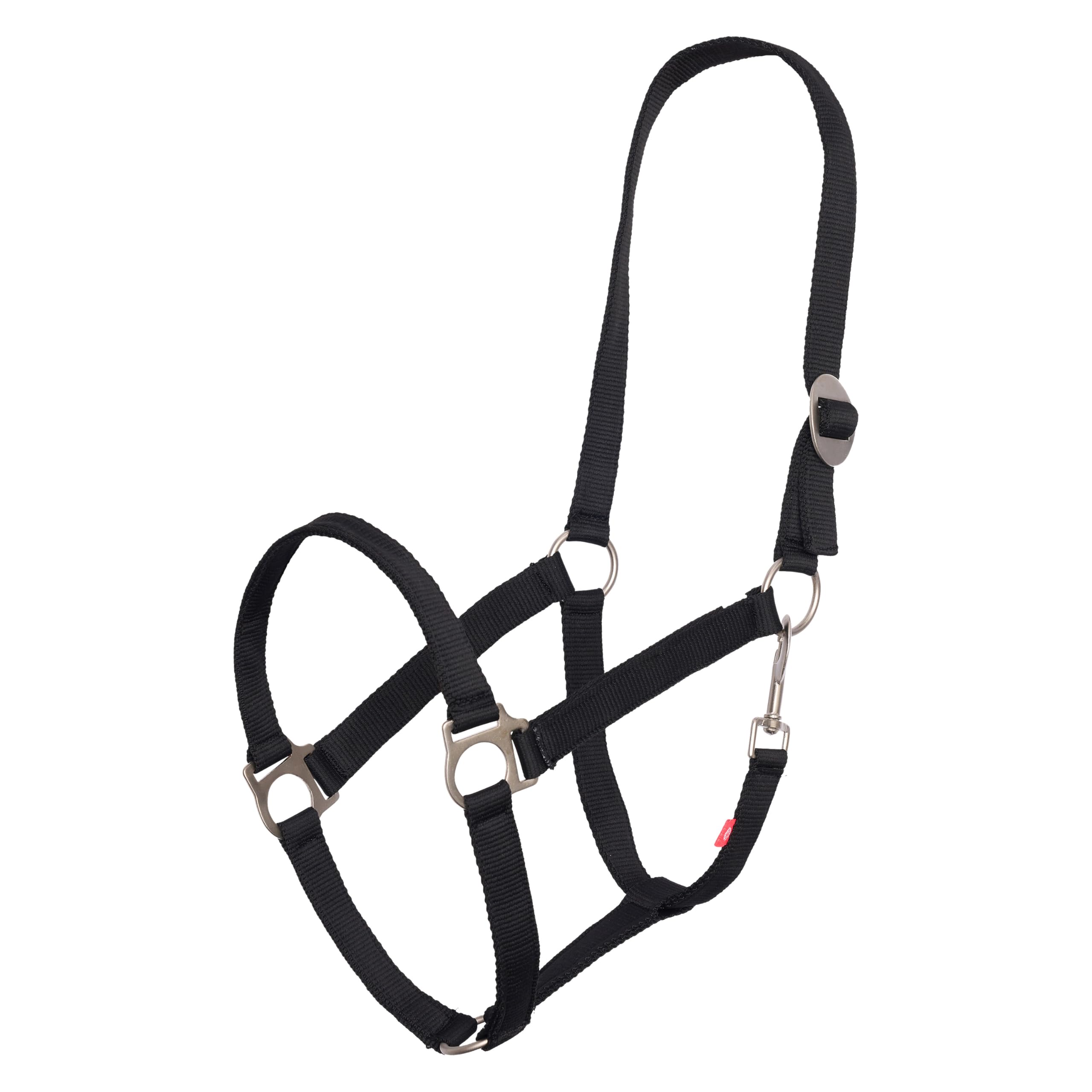 Imperial Riding Headcollar Economic, Robust 25 mm Nylon Headcollar Adjustable Sliding Buckle, Carabiner Throat Strap, Durable & Easy Care for Training, Stable & Everyday, Black, Cob