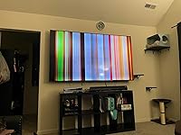 Review Image by Sasha Sasha