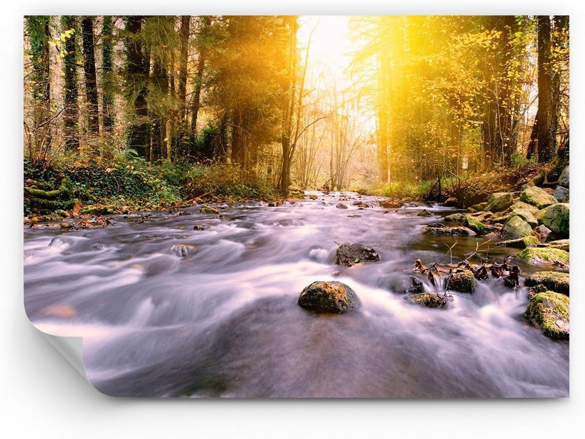 Papier Peint Intissé 3D Forêt Agrandir une Petite Chambre 250x175