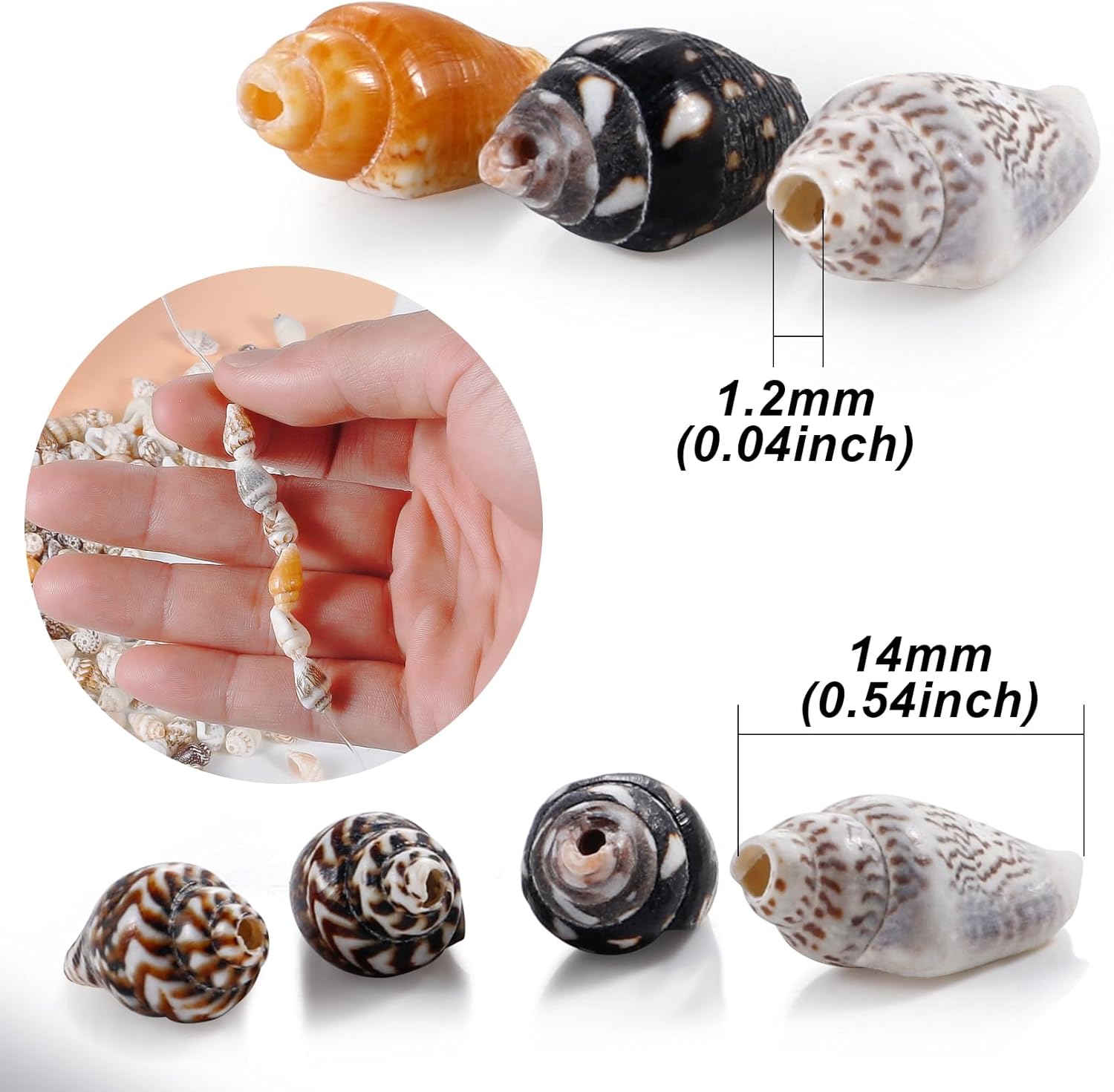500pcs Natural Tiny Small Seashells with Tail-Hole, Beads for DIY Jewelry Making,Bracelets Making,Hair Beads - Image 6