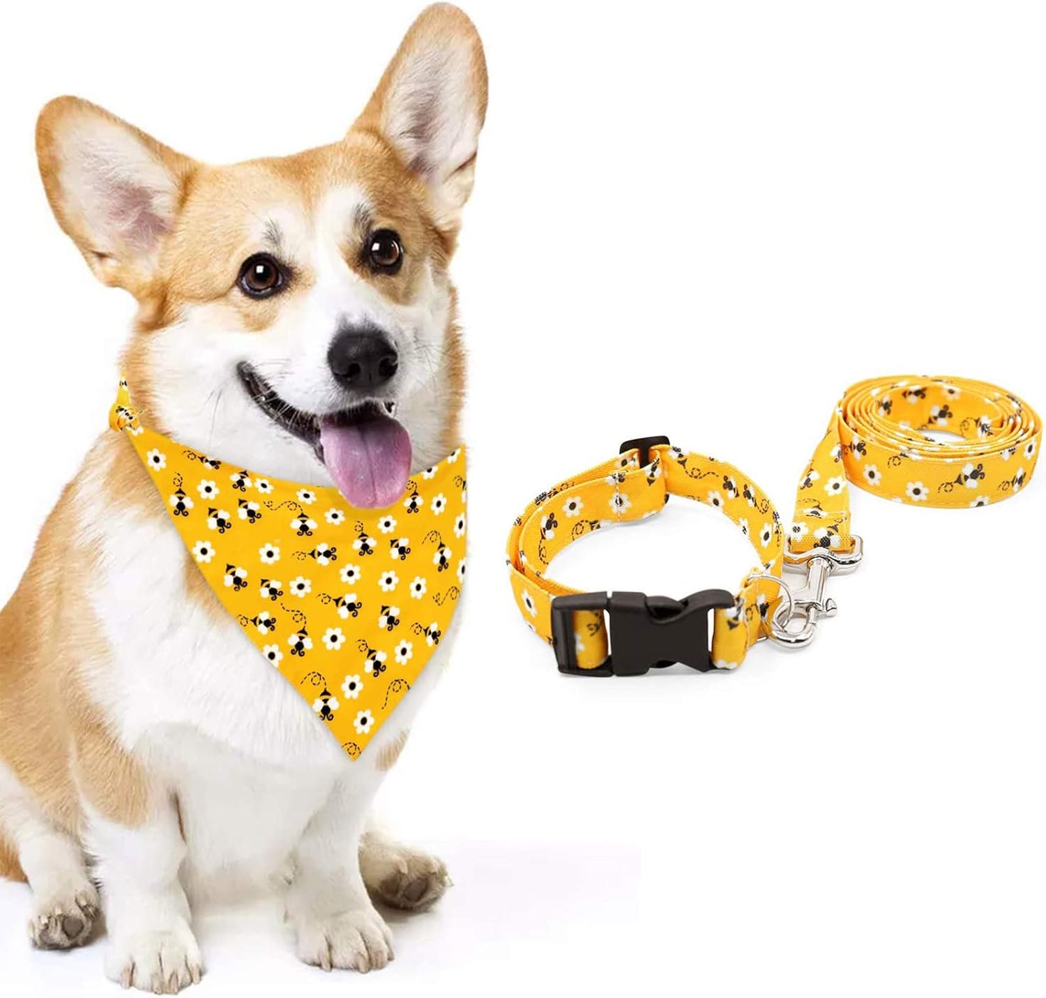 corgi dog collars