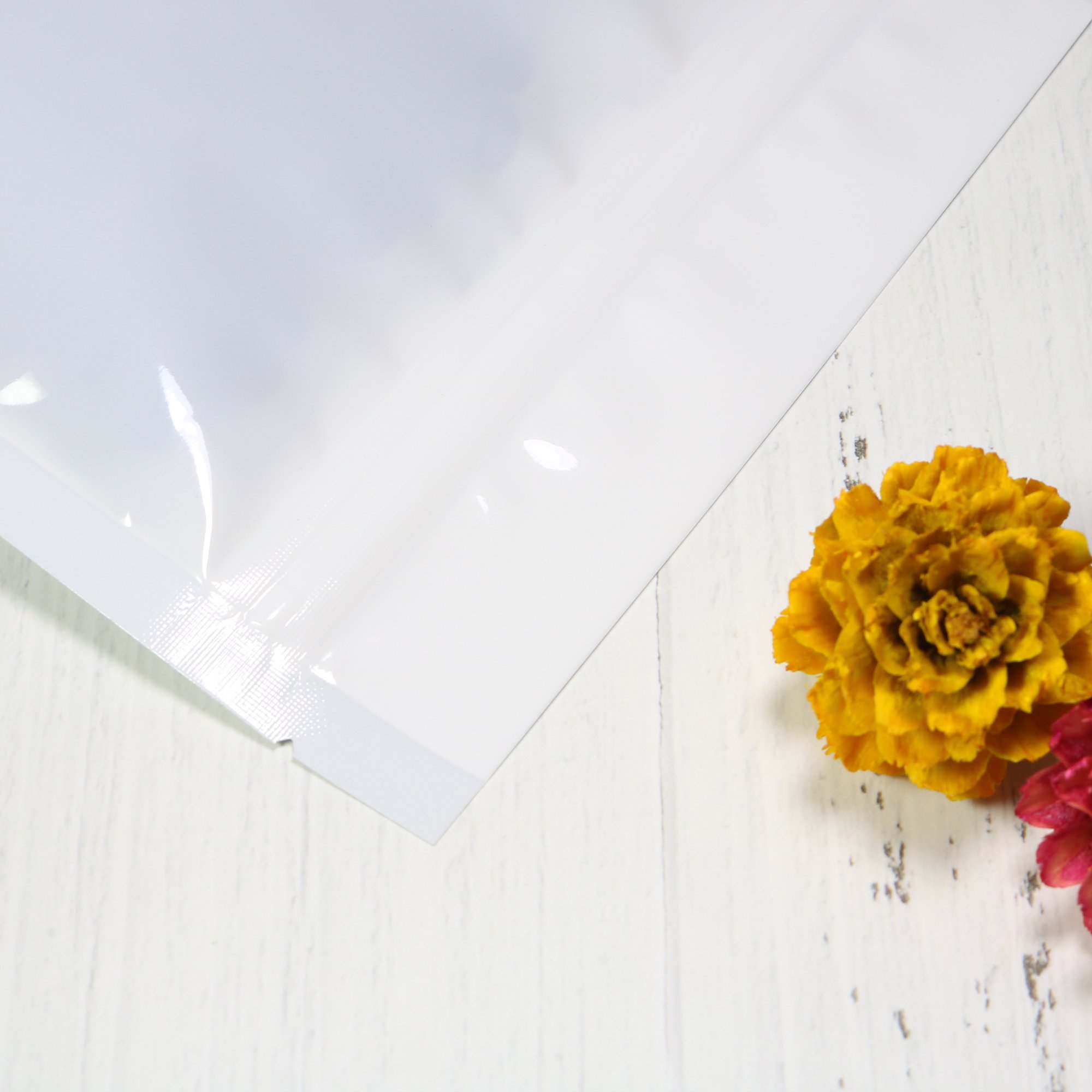 Doble cara, color mate/brillante, con funda de soporte para ventanas redondas transparentes, almacenamiento