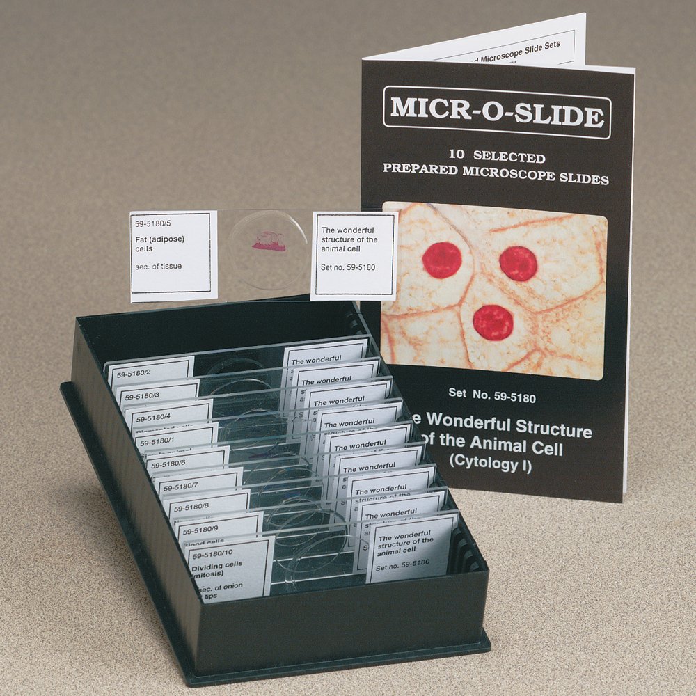 Johannes Lieder MICROSLIDE Structure Of The Animal Cell Microscope