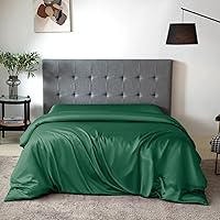 Vista 14 de THXSILK Funda de edredón 100% seda de morera, funda de edredón de seda de grado superior 7A+, funda de edredón de plumón de alta gama con cierre