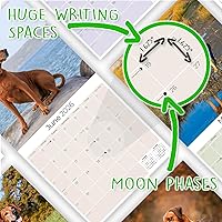 Vista 211 de Razas de Perros 2017