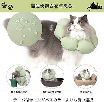 猫 犬 エリザベスカラー 手術後傷口保護 傷舐め防止 花 (M) Amazon | SKATT WORKS エリザベスカラー 犬 猫 去勢手術 傷舐め