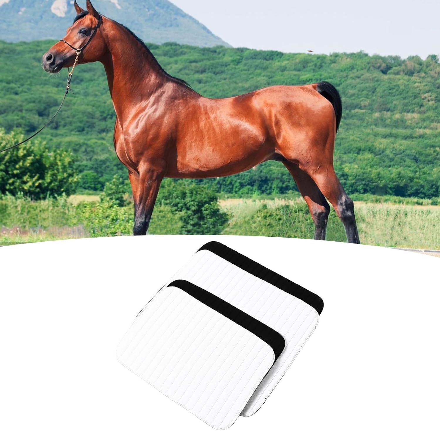 Sonew Horse Leg Wrap, 4PCS Horse Fly Boots with Breathable Design, Horse Leg Protector for Horse