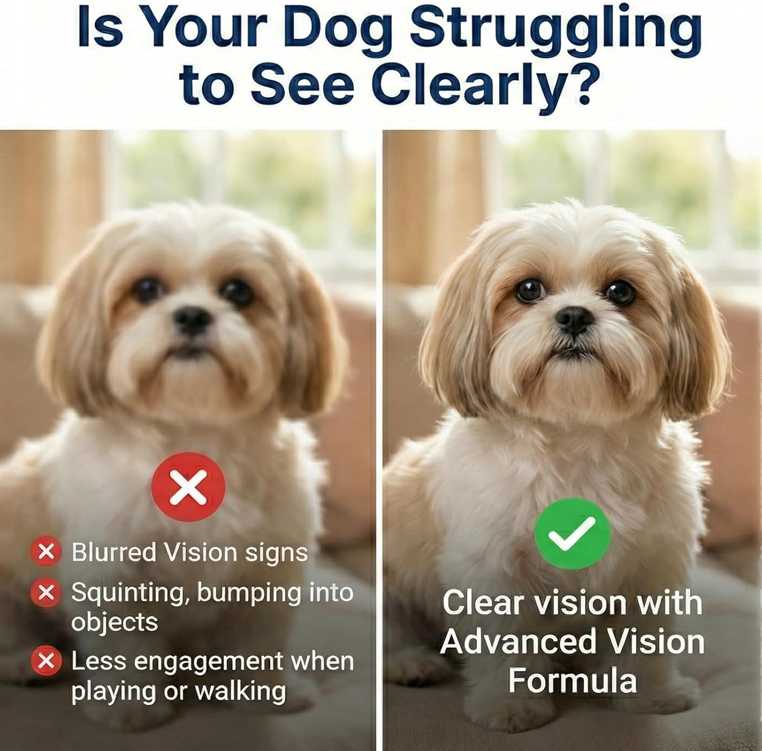 ITECFREELY Advanced Vision Formula for Dogs - Support Ocular Health & Retinal Function in Senior Dogs, Oral Liquid with Lutein Zeaxanthin Astaxanthin