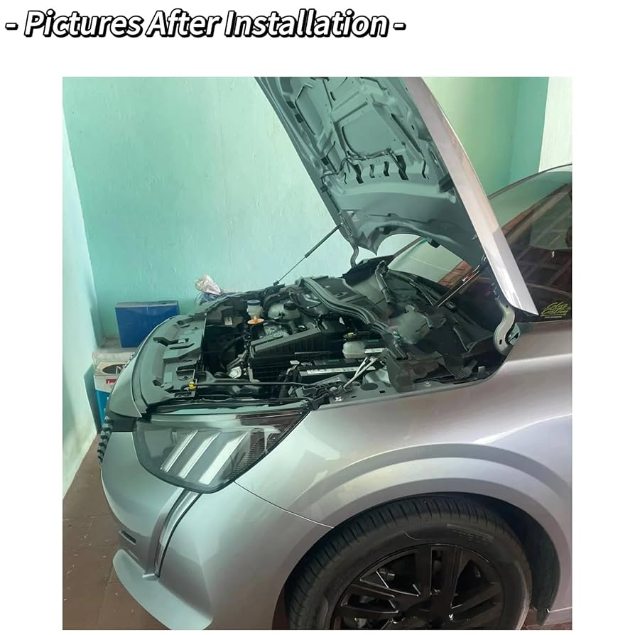 Amazon.co.jp: ボンネットダンパー プジョー 208 Mk2 P21 2019