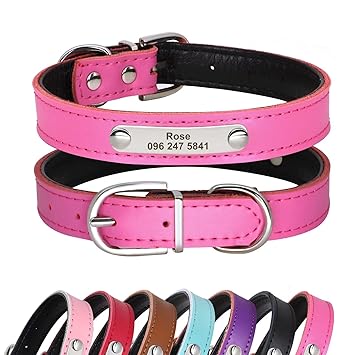 Didog Cute Leather Padded Custom Dog Collar with Engraved Nameplate ID Tag,Fit Cats and Small Medium Dogs,Hot Pink,XS Size