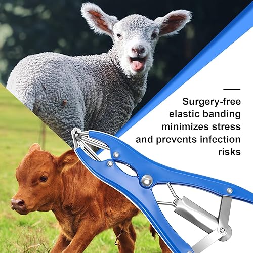 Miniatura 7 de Kit de Anillado para Cabras, Elastrador de Acero Inoxidable con 200 Piezas de Bandas de Goma de 3 Tamaños y Herramienta Expansora para el Manejo