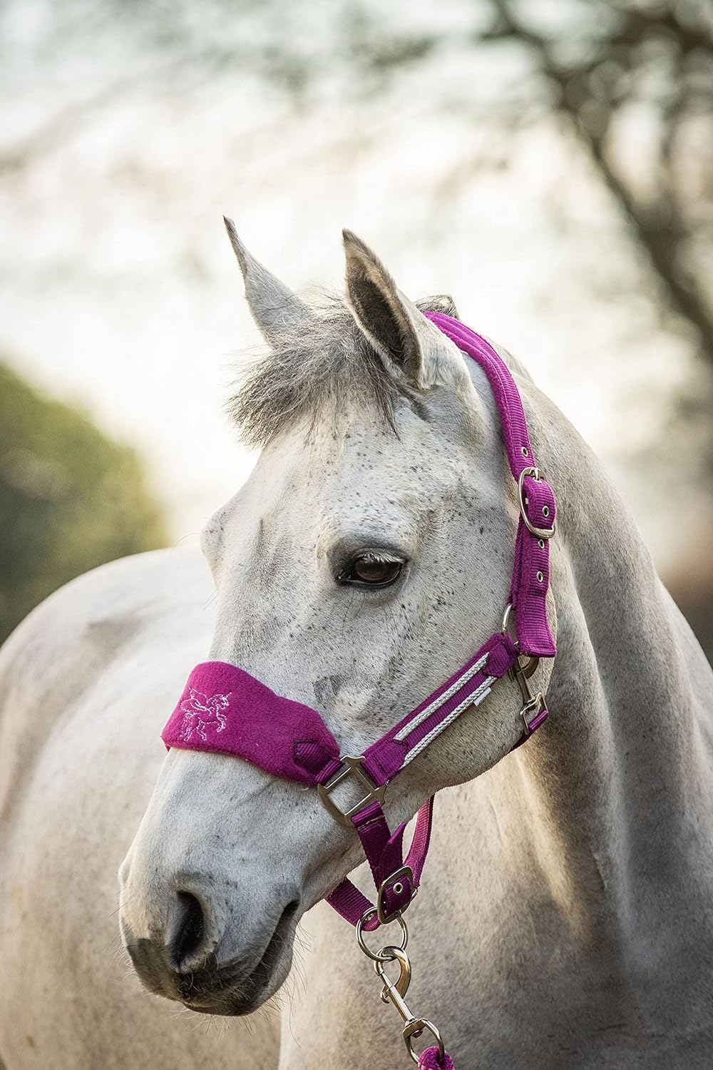 Equipride LUXURY FLEECE UNICORN HEADCOLLAR SET LEAD ROPE FULL-MINI SHETLAND (Shetland, Fuchsia) — image 1