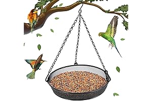 Hanging Bird Feeder for Outdoor Entertainment