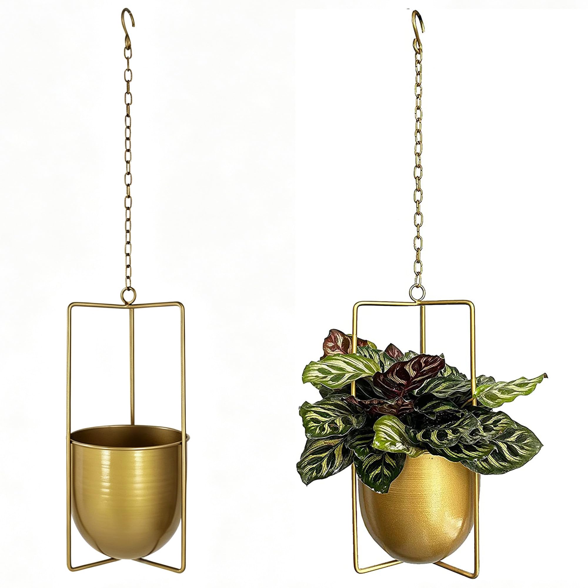 Smaxcn 1er Set Hängender Blumenampel (Gold) | Blumentopf Hängend Metall Bolo Blumenampel für Sukkulenten,Für Verwendung im Innen- und Außenbereich
