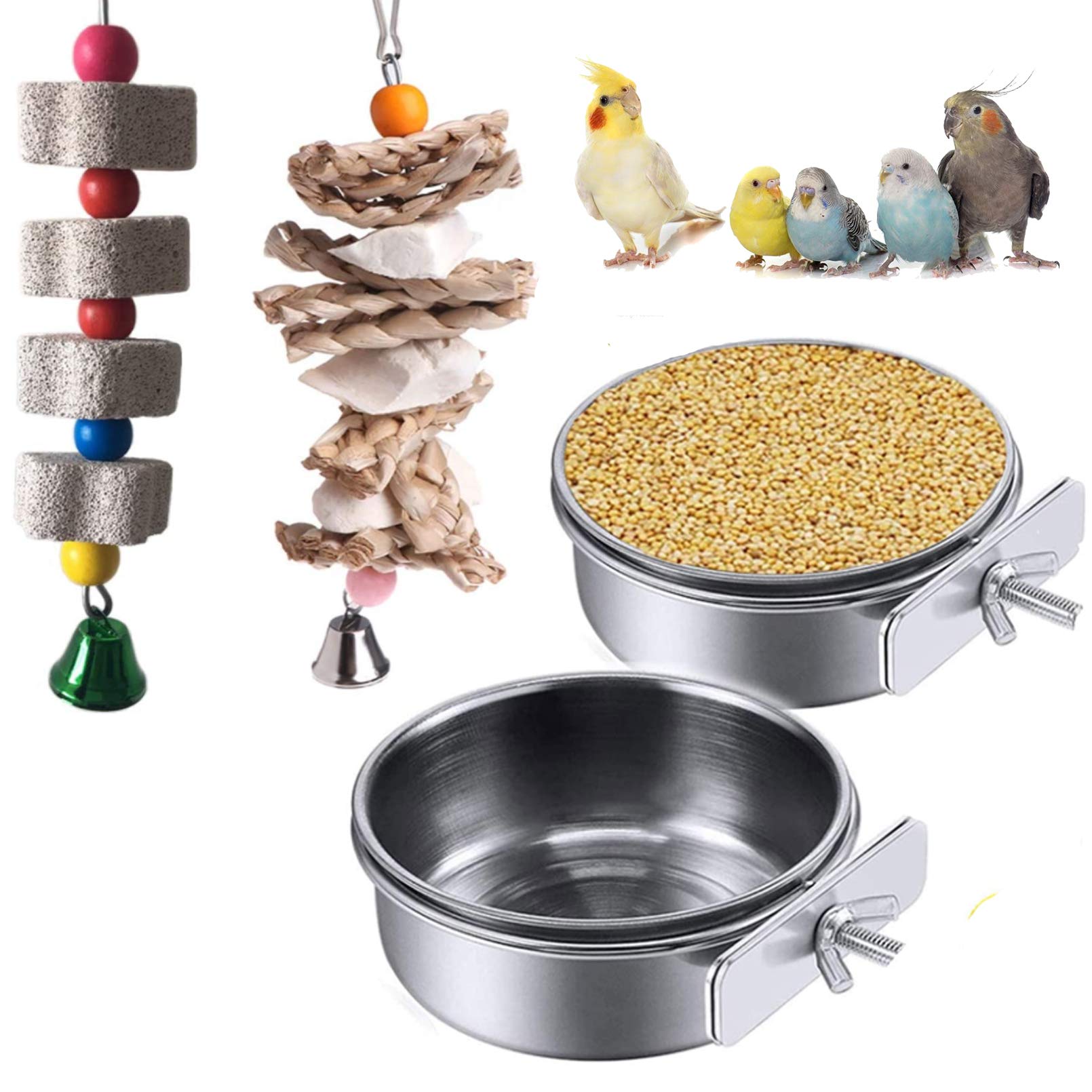 10 Best African Grey Parrot Bird Water Bowls for Hydration and Health