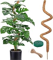 Vista 8 de Paquete de 2 postes de musgo para plantas Monstera – Postes de musgo de 25 pulgadas para plantas trepadoras Monstera, estacas de poste de musgo