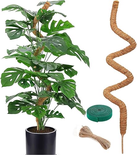 Miniatura 8 de Paquete de 2 postes de musgo para plantas Monstera – Postes de musgo de 25 pulgadas para plantas trepadoras Monstera, estacas de poste de musgo