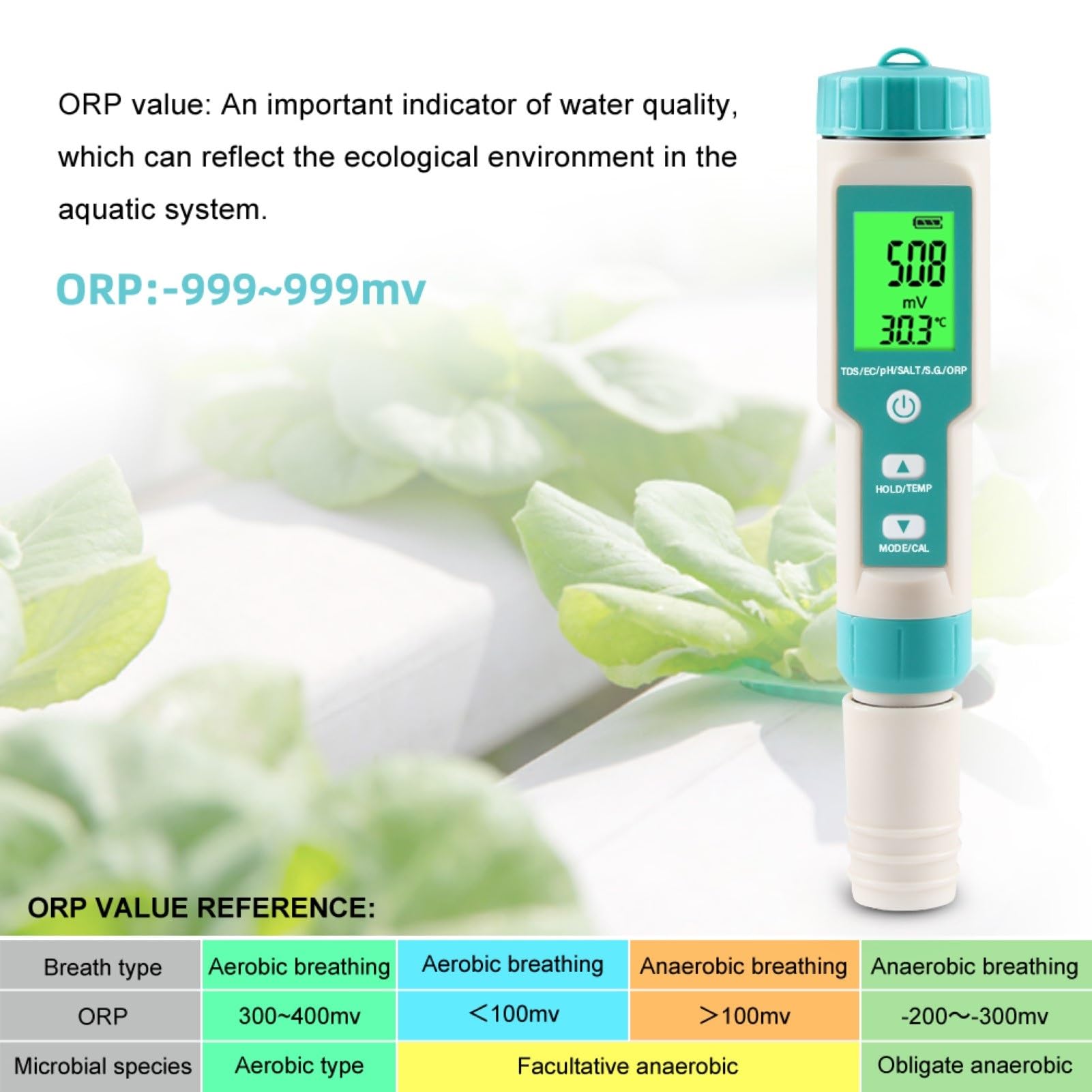 Testeur de qualité de l'eau Multifonction | Mesure Le pH, la conductivité, Le TDS, la salinité, Le potentiel redox, la SG et la température | Grand écran LCD