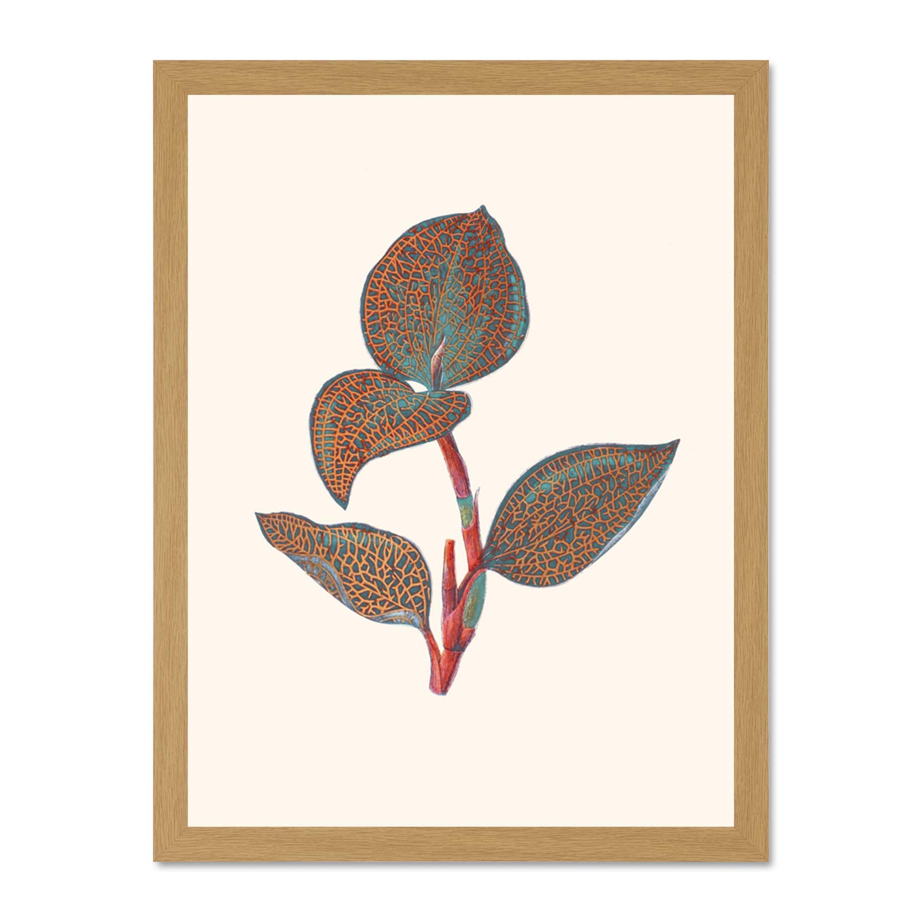 Wee Blue Coo Primary Coloured Exotic Flora Large Light Oak Framed Art Print Wall Poster 18x24 inch