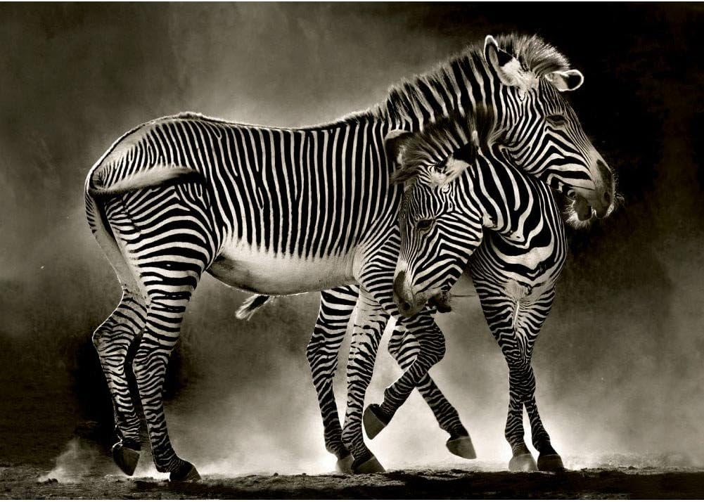 Educa Kids Zebras Puzzle (500-Piece)