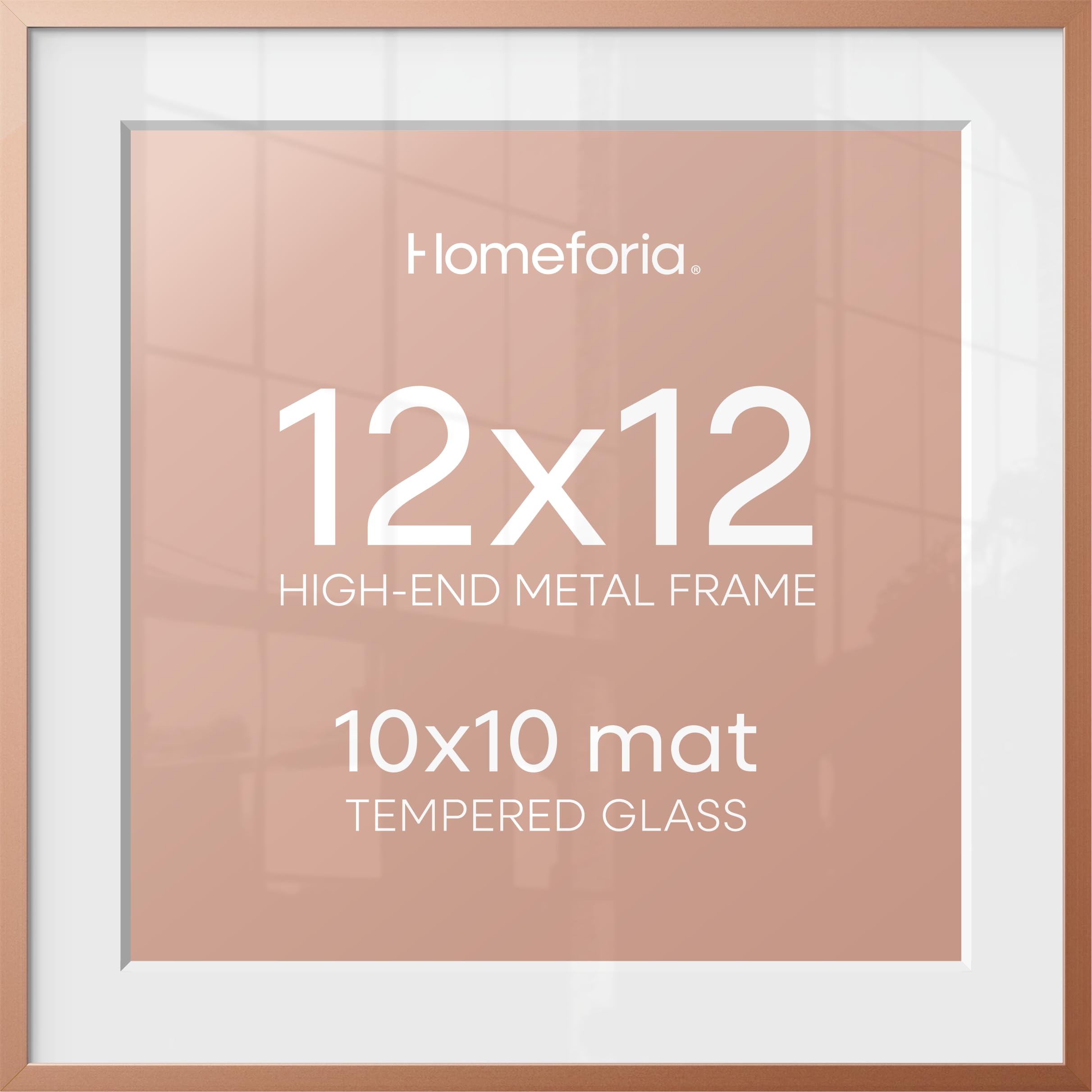 Homeforia 12x12 Rose Picture Frame, High-End Metal, 10x10 Mat, Glass | High End Aluminum, Tempered Glass, Acid-Free 10x10 Removable Mat, 12x12 in Edge-to-Edge Display 12x12, Wall Kit, Set Of 2