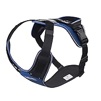 Julius-K9, Pettorina IDC Longwalk