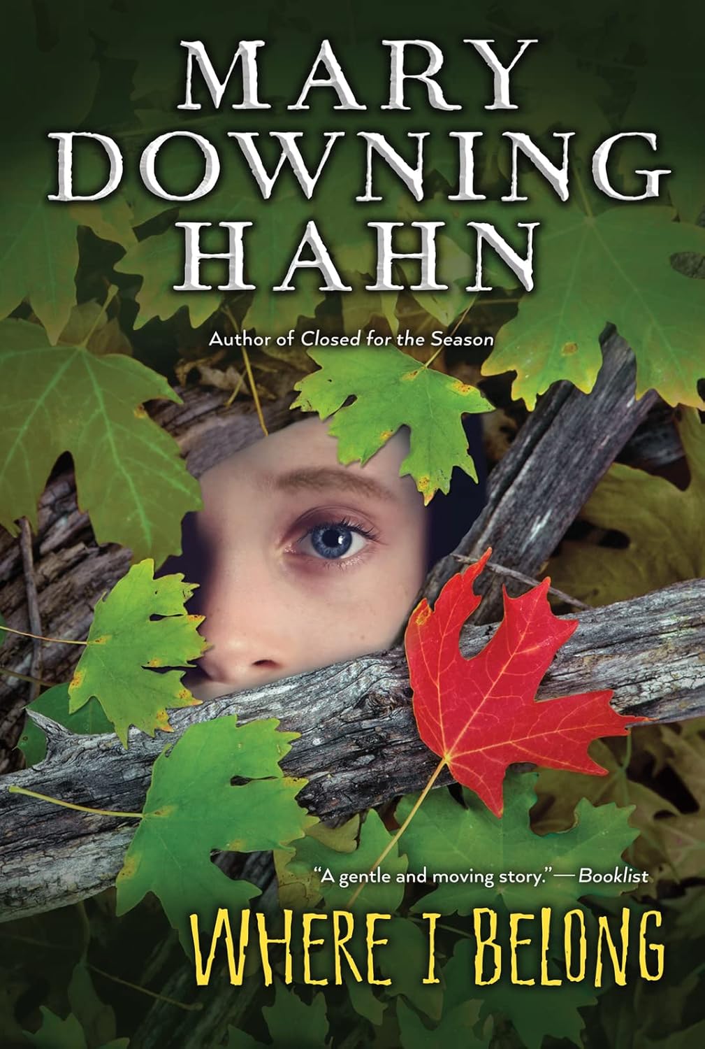 Where I Belong: A Fantasy Novel About a Sixth-Grader in Foster Care Who ...