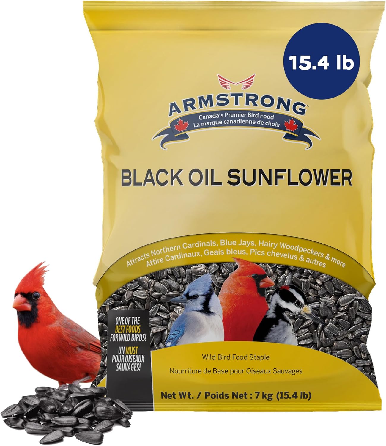 Armstrong Bird Food Black Oil Sunflower Bird Seed, 8 Pounds - for Northern Cardinals, Blue Jays and Hairy Woodpeckers - Ideal for Outside Feeders