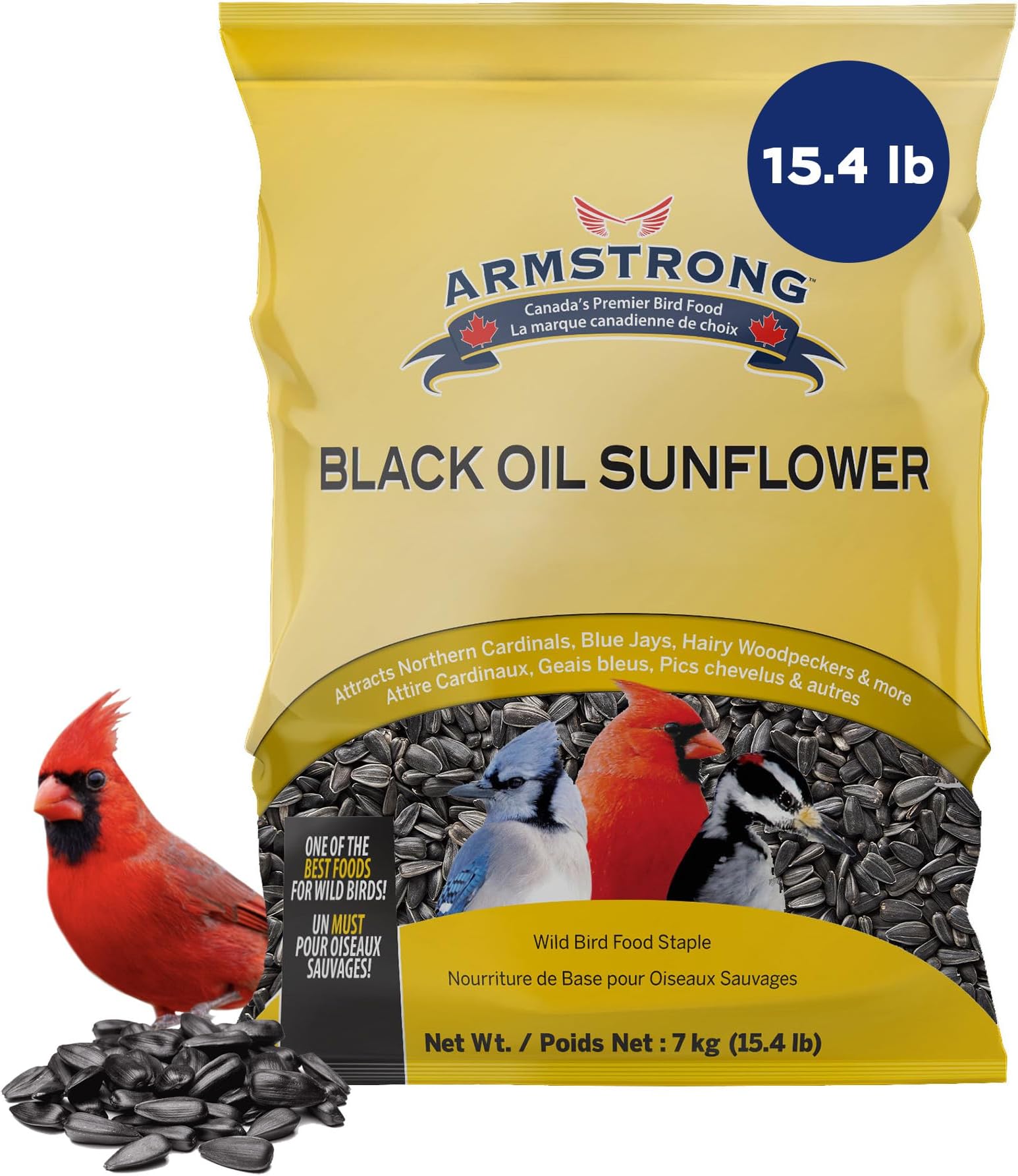 Black Oil Sunflower
