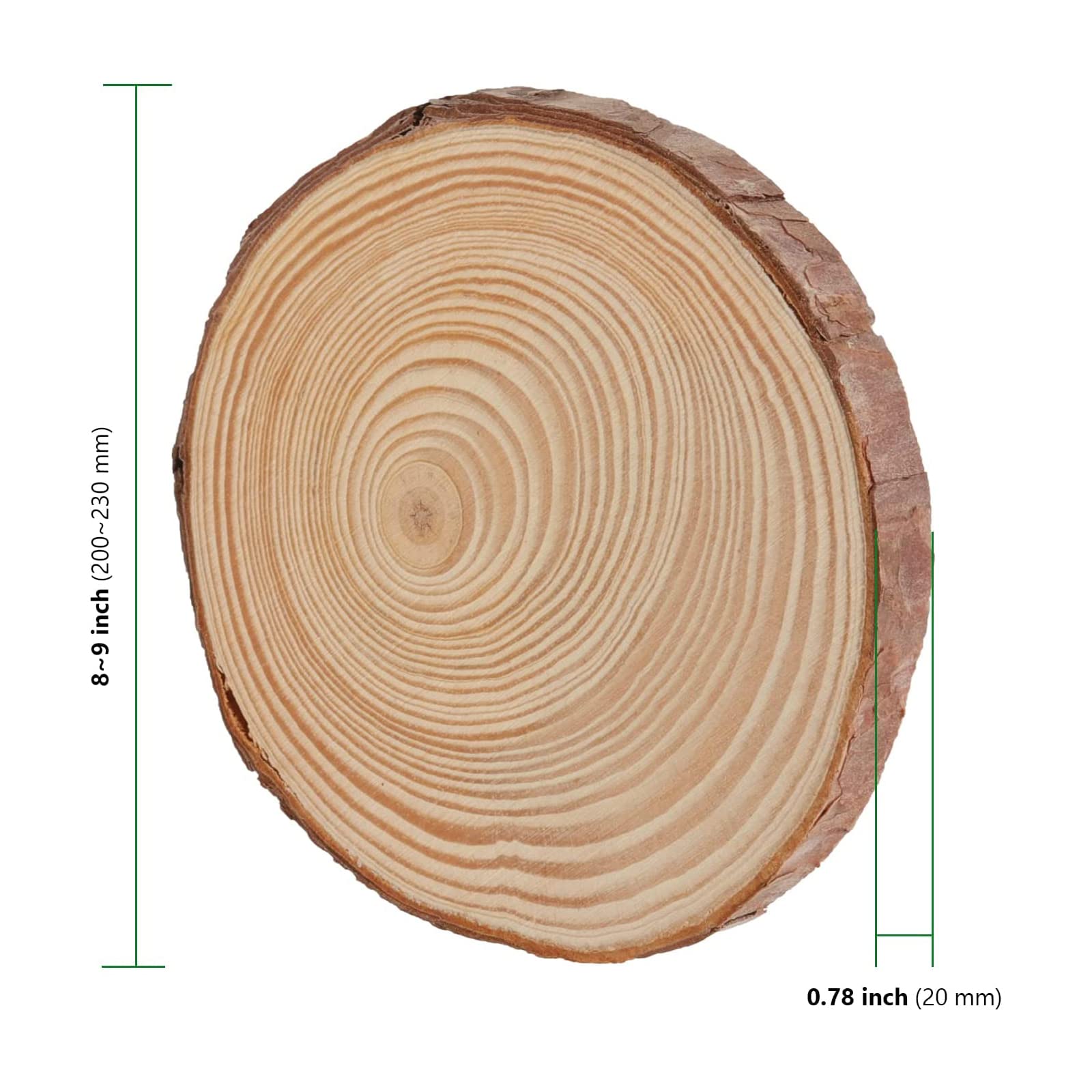 HAKZEON 30 PCS 9-10 cm Natural Wood Slices - Image 2