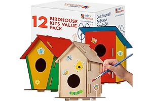 Ultimate Build-Your-Own Birdhouse Kit for Kids